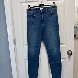 Hudson Jeans Women's Skinny Denim